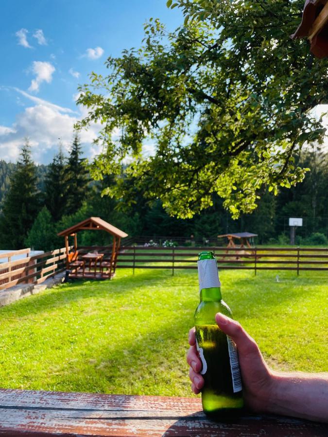 Villa Montana Borsec Eksteriør billede