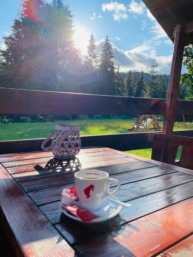 Villa Montana Borsec Eksteriør billede