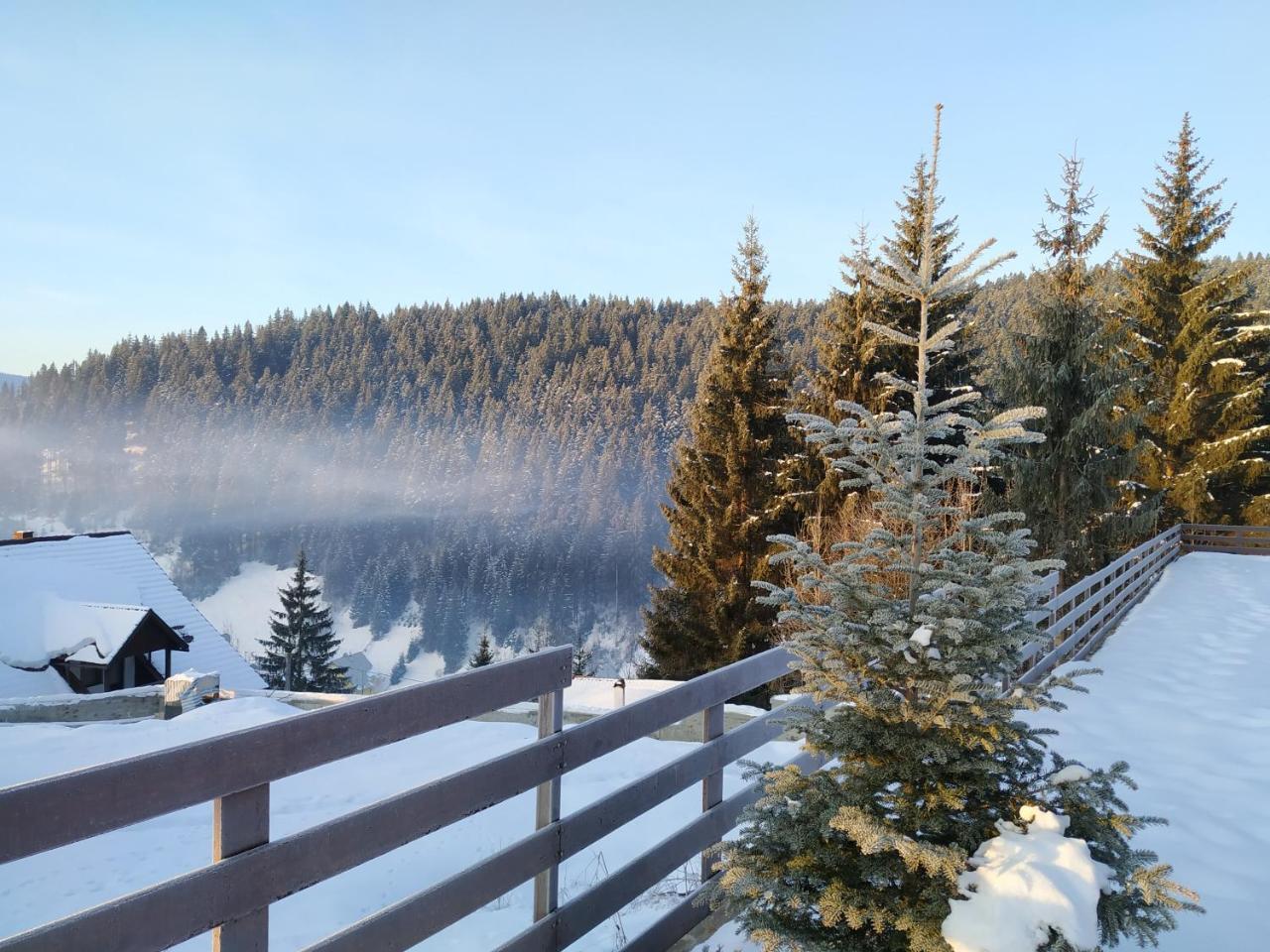 Villa Montana Borsec Eksteriør billede