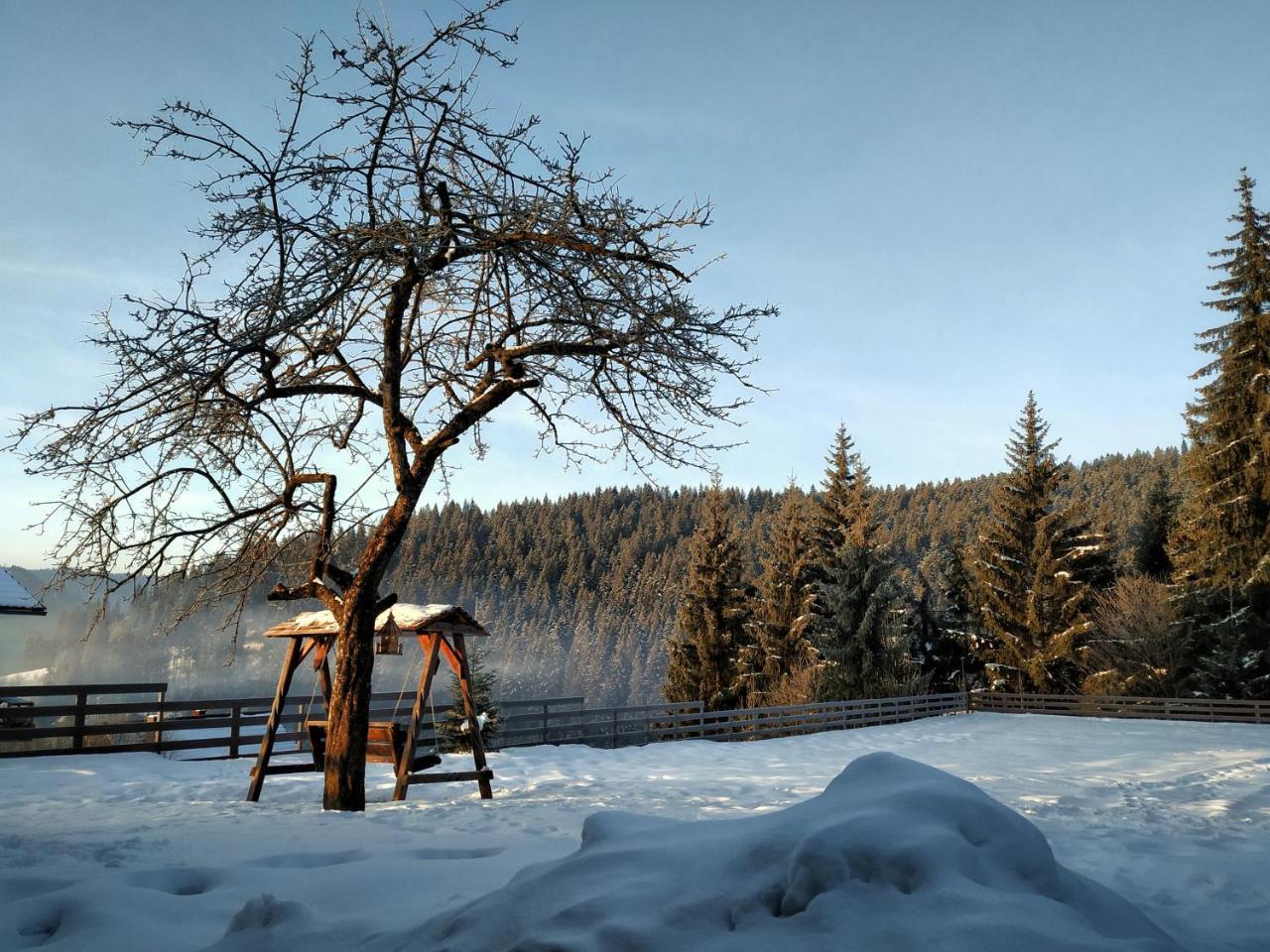 Villa Montana Borsec Eksteriør billede